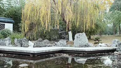 意境中国风园林池塘视频的预览图